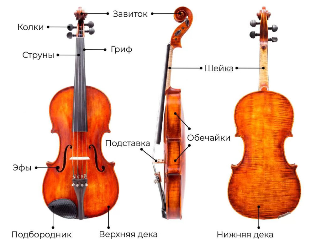 Корпус скрипки